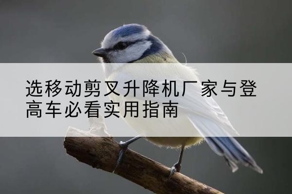 温岭电动升降机厂家-选移动剪叉升降机厂家与登高车必看实用指南
