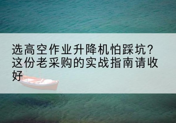 温岭高空作业升降机厂家推荐-选高空作业升降机怕踩坑？这份老采购的实战指南请收好