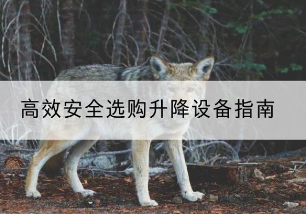 温岭升降货梯厂家推荐-*安全选购升降设备指南