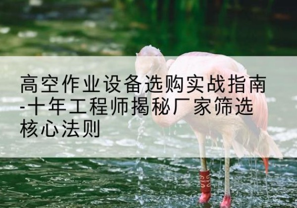 温岭剪叉式升降机厂家-高空作业设备选购实战指南-十年工程师揭秘厂家筛选核心法则