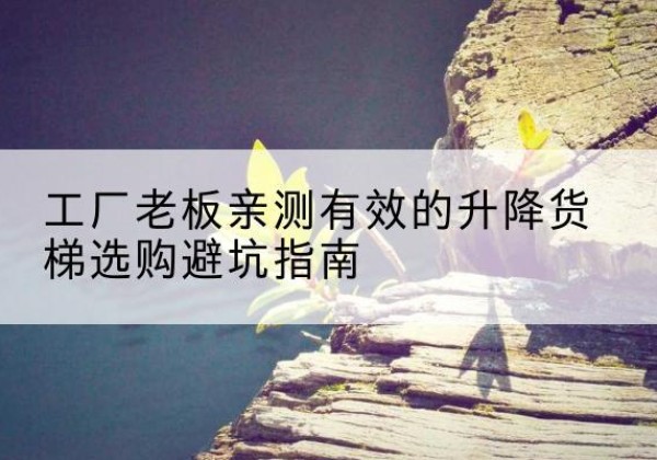 温岭升降货梯怎么选-工厂老板亲测有效的升降货梯选购避坑指南